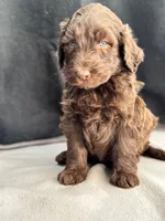 processed/29cff445-14d6-4fc6-a573-aecaa40796d2/listing/29e5e41e-c47c-47a5-9e8f-36cf3e281b1c/57644701-19a6-4128-8b11-2076fc39a316