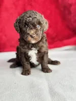 processed/29cff445-14d6-4fc6-a573-aecaa40796d2/listing/35c13178-6a8f-494c-9d72-d85aba3b9391/1a48b52b-f1bf-40a5-9f3e-3712107a0414