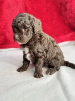 processed/29cff445-14d6-4fc6-a573-aecaa40796d2/listing/35c13178-6a8f-494c-9d72-d85aba3b9391/76c9f00f-f117-45b2-abb5-f3049e749d0d