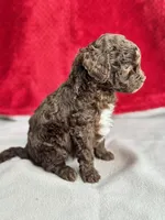 processed/29cff445-14d6-4fc6-a573-aecaa40796d2/listing/35c13178-6a8f-494c-9d72-d85aba3b9391/8aaaec91-3d6b-4b41-a240-302b258f560b