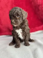 processed/29cff445-14d6-4fc6-a573-aecaa40796d2/listing/35c13178-6a8f-494c-9d72-d85aba3b9391/a90f8970-0d83-46e2-a1bc-46187e18c1ca