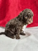 processed/29cff445-14d6-4fc6-a573-aecaa40796d2/listing/35c13178-6a8f-494c-9d72-d85aba3b9391/c459938f-47bf-421b-a20a-c962b0fa851f