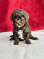 processed/29cff445-14d6-4fc6-a573-aecaa40796d2/listing/35c13178-6a8f-494c-9d72-d85aba3b9391/cc38ede7-cadf-4706-a92a-feffd94ef1c5