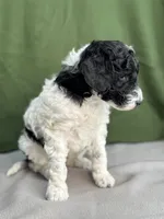 processed/29cff445-14d6-4fc6-a573-aecaa40796d2/listing/5d18f286-08de-44b8-bc72-1eec524073cc/2d507357-ba8c-42e8-a468-02039e0f57c0