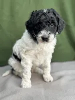 processed/29cff445-14d6-4fc6-a573-aecaa40796d2/listing/5d18f286-08de-44b8-bc72-1eec524073cc/2f538965-ef32-4f46-8581-6285b5c61b14