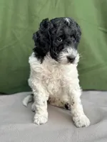 processed/29cff445-14d6-4fc6-a573-aecaa40796d2/listing/5d18f286-08de-44b8-bc72-1eec524073cc/3702b125-a54c-428b-b9a0-8af59fd81eed