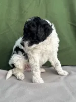 processed/29cff445-14d6-4fc6-a573-aecaa40796d2/listing/5d18f286-08de-44b8-bc72-1eec524073cc/77ea5d1b-aeb9-4d30-be05-74495e34e853