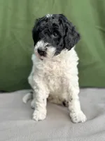 processed/29cff445-14d6-4fc6-a573-aecaa40796d2/listing/5d18f286-08de-44b8-bc72-1eec524073cc/9db5d33c-b71a-4ae6-9916-4a05fcd3289f