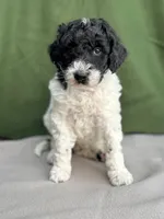 processed/29cff445-14d6-4fc6-a573-aecaa40796d2/listing/5d18f286-08de-44b8-bc72-1eec524073cc/cf44baa1-ff1c-49f9-8305-0e257ca67237