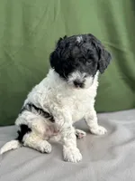 processed/29cff445-14d6-4fc6-a573-aecaa40796d2/listing/5d18f286-08de-44b8-bc72-1eec524073cc/e40ba32e-0b48-4001-8b6e-8948c83dbf98