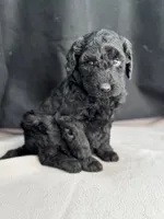 processed/29cff445-14d6-4fc6-a573-aecaa40796d2/listing/649a1439-44dc-4fe3-996a-dda02b35c5c7/0c2208bf-42f5-4e40-85b8-c3c35d9e7b60