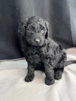 processed/29cff445-14d6-4fc6-a573-aecaa40796d2/listing/649a1439-44dc-4fe3-996a-dda02b35c5c7/1d1d9543-ebb3-409c-9aa9-5fd8ce7884d2