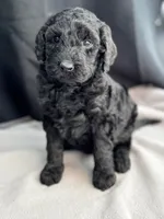 processed/29cff445-14d6-4fc6-a573-aecaa40796d2/listing/649a1439-44dc-4fe3-996a-dda02b35c5c7/a1f690ed-66fe-4c80-b896-d4f130dc617f