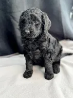 processed/29cff445-14d6-4fc6-a573-aecaa40796d2/listing/649a1439-44dc-4fe3-996a-dda02b35c5c7/d44d9bc5-9d80-4a1d-bb87-f56cd3086330