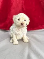 processed/29cff445-14d6-4fc6-a573-aecaa40796d2/listing/d48062c1-a48a-4314-a7d9-09f1f79f4e51/1772d151-df70-4d60-abfb-bebbbcea7a95