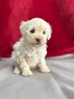 processed/29cff445-14d6-4fc6-a573-aecaa40796d2/listing/d48062c1-a48a-4314-a7d9-09f1f79f4e51/1f92a0ea-6c9a-4c94-a6ff-70dcc48c9d3f