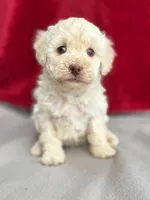 processed/29cff445-14d6-4fc6-a573-aecaa40796d2/listing/d48062c1-a48a-4314-a7d9-09f1f79f4e51/32edff87-795e-4204-9c1b-f2c874ef7016