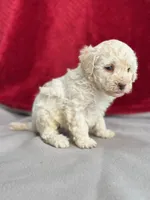 processed/29cff445-14d6-4fc6-a573-aecaa40796d2/listing/d48062c1-a48a-4314-a7d9-09f1f79f4e51/59c1623d-b619-4c46-b379-8410644491f4