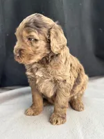 processed/29cff445-14d6-4fc6-a573-aecaa40796d2/listing/e9661366-1116-4d6d-b847-5a2c1959e024/08ee62f7-1e67-4c94-a6d0-eadc3ab57627