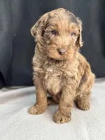 processed/29cff445-14d6-4fc6-a573-aecaa40796d2/listing/e9661366-1116-4d6d-b847-5a2c1959e024/193f666a-6fec-4dd1-930e-d31a8327f301