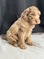 processed/29cff445-14d6-4fc6-a573-aecaa40796d2/listing/e9661366-1116-4d6d-b847-5a2c1959e024/60aa23b3-bf1d-406c-b78e-9efeba273747