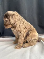 processed/29cff445-14d6-4fc6-a573-aecaa40796d2/listing/e9661366-1116-4d6d-b847-5a2c1959e024/a0eb266d-b077-48b5-b611-bbe46ebea62c