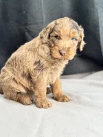 processed/29cff445-14d6-4fc6-a573-aecaa40796d2/listing/e9661366-1116-4d6d-b847-5a2c1959e024/b739ea2f-9d9d-4c36-be7d-9d8e531c647e