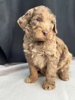 processed/29cff445-14d6-4fc6-a573-aecaa40796d2/listing/e9661366-1116-4d6d-b847-5a2c1959e024/f1455b72-765b-4c20-8ee0-4fcb2d766ee4