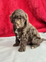 processed/29cff445-14d6-4fc6-a573-aecaa40796d2/listing/f76d4a4b-9161-4558-a158-57378d5adf39/836b1a64-f0e8-446c-b72c-813057ffd752