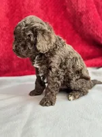 processed/29cff445-14d6-4fc6-a573-aecaa40796d2/listing/f76d4a4b-9161-4558-a158-57378d5adf39/9f071f87-fa80-4ec4-b975-95e72dd3393c