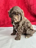 processed/29cff445-14d6-4fc6-a573-aecaa40796d2/listing/f76d4a4b-9161-4558-a158-57378d5adf39/d2c54aa8-2aa8-44fc-84d9-18aba068e346