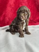 processed/29cff445-14d6-4fc6-a573-aecaa40796d2/listing/f76d4a4b-9161-4558-a158-57378d5adf39/fd4fe82d-57bc-42b6-88f5-d4927c41842b