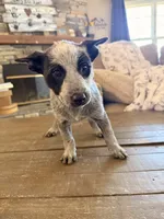 processed/29d3f1d6-18f4-4d67-97ed-dfbb8de7962f/listing/19893129-85c3-4106-86b5-c34afc92fbb0/a463cc24-cba2-41b4-bc46-a44b81c4f45e