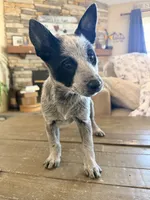 processed/29d3f1d6-18f4-4d67-97ed-dfbb8de7962f/listing/19893129-85c3-4106-86b5-c34afc92fbb0/f777db21-2516-4027-bf13-29b7f6b5929a