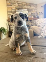 processed/29d3f1d6-18f4-4d67-97ed-dfbb8de7962f/listing/63b05dbd-0e68-4fbf-976b-c3e7638454e1/fd47dca7-12f2-40e4-bd87-95cd2ec2ed28