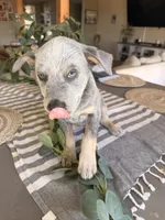 processed/29d3f1d6-18f4-4d67-97ed-dfbb8de7962f/listing/e95a07e0-c47f-4b4f-8e4b-1f796dfb473e/363afab9-beaa-490f-9152-f973e3234789