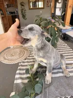 processed/29d3f1d6-18f4-4d67-97ed-dfbb8de7962f/listing/e95a07e0-c47f-4b4f-8e4b-1f796dfb473e/5387246c-e4d9-4bd2-bcb0-db427dc2d2af