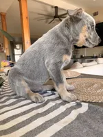 processed/29d3f1d6-18f4-4d67-97ed-dfbb8de7962f/listing/e95a07e0-c47f-4b4f-8e4b-1f796dfb473e/5ad2c498-f00a-4093-af9b-8faf050989c4