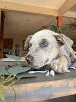 processed/29d3f1d6-18f4-4d67-97ed-dfbb8de7962f/listing/e95a07e0-c47f-4b4f-8e4b-1f796dfb473e/66a4831b-e692-4328-9308-a60c8306d311