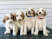 processed/29dd7ee5-3254-4289-b277-f5aa4769c9b9/facility/e01a5081-7e55-46bd-a10d-c6fdccd56cbf