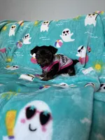 Pinky , a female Yorkshire Terrier for sale in Norfolk, VA – 4 of 8