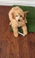 Facility photo