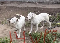 processed/2a006b25-78e0-4276-bba6-5bc588f309a8/facility/00607c42-a2d8-4964-b7f4-95fa10790f60