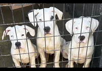 processed/2a006b25-78e0-4276-bba6-5bc588f309a8/facility/078f1eac-bfd1-442b-a611-f728f4609dfa