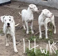 processed/2a006b25-78e0-4276-bba6-5bc588f309a8/facility/2eaf0f39-28e2-4e7f-9c3a-6f06fc4970ea