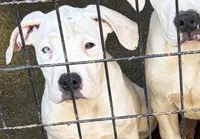 processed/2a006b25-78e0-4276-bba6-5bc588f309a8/facility/808ebab4-928c-407f-a488-672a4f5f83e2