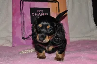 processed/2a00bc58-85ef-4ad4-8fcc-8fff1a98bfe8/facility/3279ffae-aaf0-4cc7-85b4-f730cdd8f521