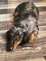 processed/2a00bc58-85ef-4ad4-8fcc-8fff1a98bfe8/facility/5048da1c-013e-4475-bbde-d5ab14651058