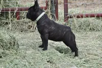 processed/2a00bc58-85ef-4ad4-8fcc-8fff1a98bfe8/facility/814fdd2d-c734-45d4-90fc-1cb1e6438a02