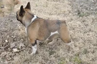 processed/2a00bc58-85ef-4ad4-8fcc-8fff1a98bfe8/facility/851bf5b2-5d3b-42b4-868e-076526d20b1f